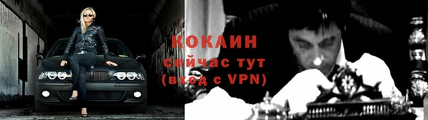 кокс Ельня