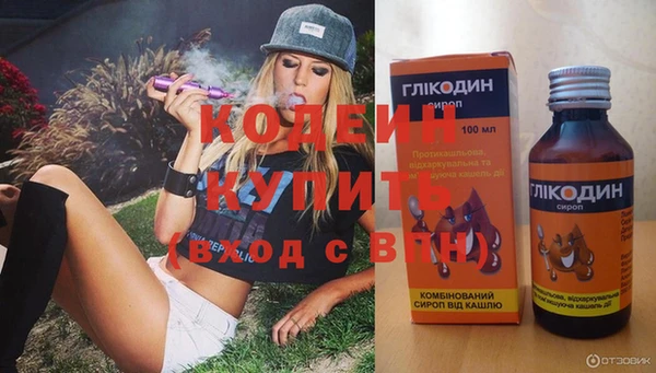 спиды Дмитриев