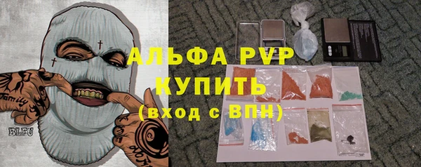 стаф Елизово