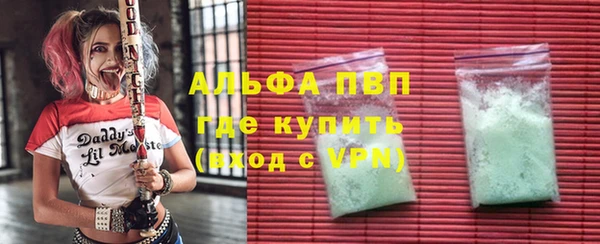 стаф Елизово