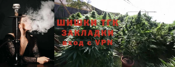 спиды Дмитриев