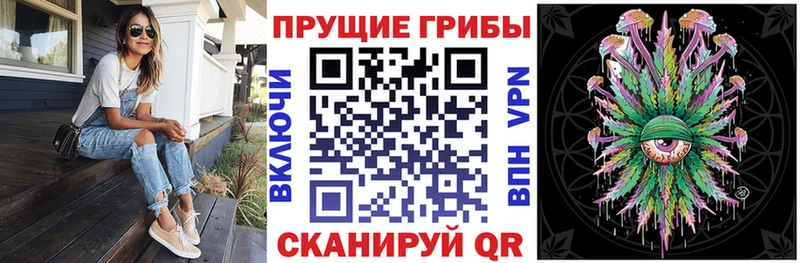 цена   Пятигорск  Псилоцибиновые грибы Magic Shrooms 